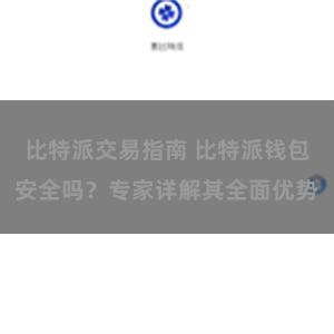 比特派交易指南 比特派钱包安全吗？专家详解其全面优势