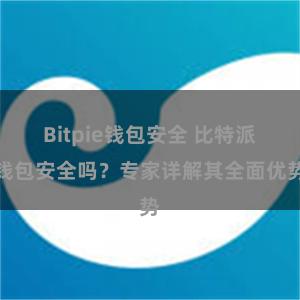 Bitpie钱包安全 比特派钱包安全吗？专家详解其全面优势