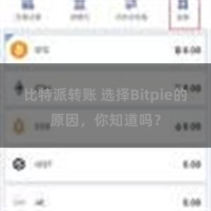 比特派转账 选择Bitpie的原因，你知道吗？