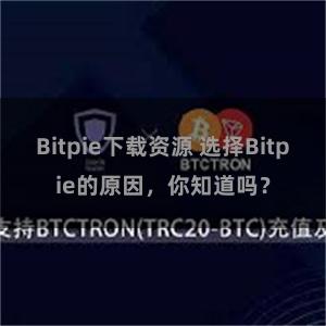 Bitpie下载资源 选择Bitpie的原因，你知道吗？