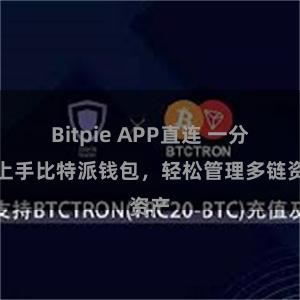 Bitpie APP直连 一分钟上手比特派钱包，轻松管理多链资产