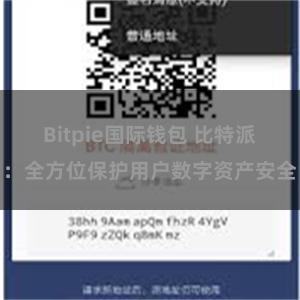 Bitpie国际钱包 比特派：全方位保护用户数字资产安全