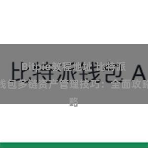 Bitpie教程地址 比特派钱包多链资产管理技巧：全面攻略