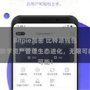 Bitpie加密 比特派钱包：数字资产管理生态进化，无限可能！