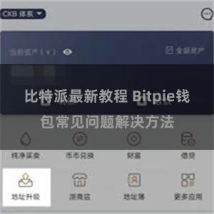 比特派最新教程 Bitpie钱包常见问题解决方法