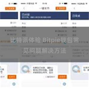 比特派体验 Bitpie钱包常见问题解决方法