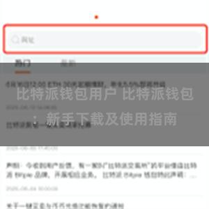 比特派钱包用户 比特派钱包：新手下载及使用指南