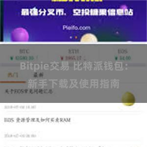 Bitpie交易 比特派钱包：新手下载及使用指南