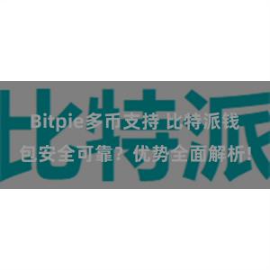 Bitpie多币支持 比特派钱包安全可靠？优势全面解析!