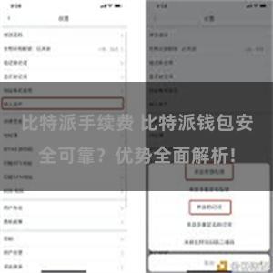 比特派手续费 比特派钱包安全可靠？优势全面解析!