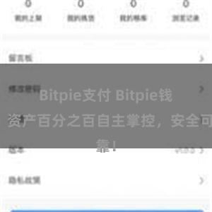 Bitpie支付 Bitpie钱包：资产百分之百自主掌控，安全可靠！