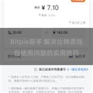 Bitpie新手 解决比特派钱包使用问题的实用技巧