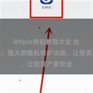 Bitpie钱包教程大全 比特派钱包：强大的隐私保护功能，让您资产更安全