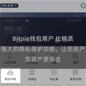 Bitpie钱包用户 比特派钱包：强大的隐私保护功能，让您资产更安全