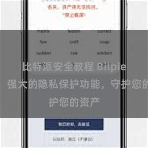 比特派安全教程 Bitpie钱包：强大的隐私保护功能，守护您的资产