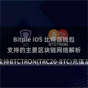 Bitpie iOS 比特派钱包支持的主要区块链网络解析