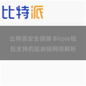 比特派安全保障 Bitpie钱包支持的区块链网络解析