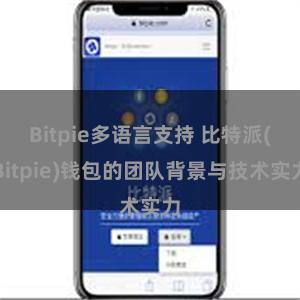 Bitpie多语言支持 比特派(Bitpie)钱包的团队背景与技术实力