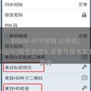 Bitpie APP官网 比特派(Bitpie)钱包的团队背景与技术实力