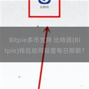 Bitpie多币支持 比特派(Bitpie)钱包如何设置每日限额？