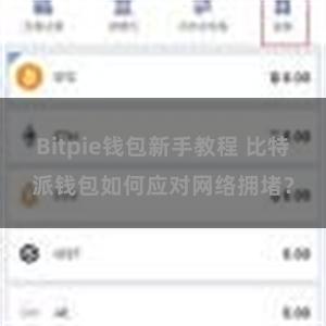 Bitpie钱包新手教程 比特派钱包如何应对网络拥堵？