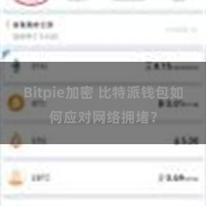 Bitpie加密 比特派钱包如何应对网络拥堵？