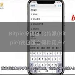 Bitpie冷钱包 比特派(Bitpie)钱包适合何种用户？