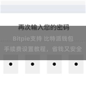 Bitpie支持 比特派钱包手续费设置教程，省钱又安全