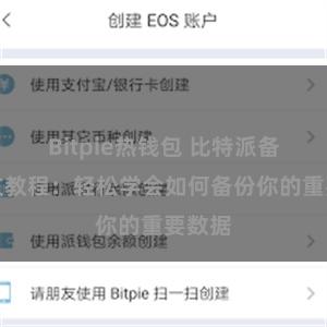 Bitpie热钱包 比特派备份图文教程：轻松学会如何备份你的重要数据