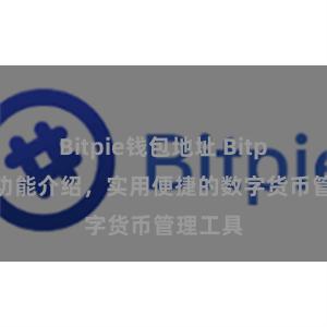 Bitpie钱包地址 Bitpie钱包功能介绍，实用便捷的数字货币管理工具