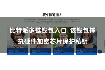 比特派多链钱包入口  该钱包撑执硬件加密芯片保护私钥